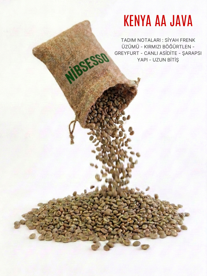 KENYA AA JAVA
