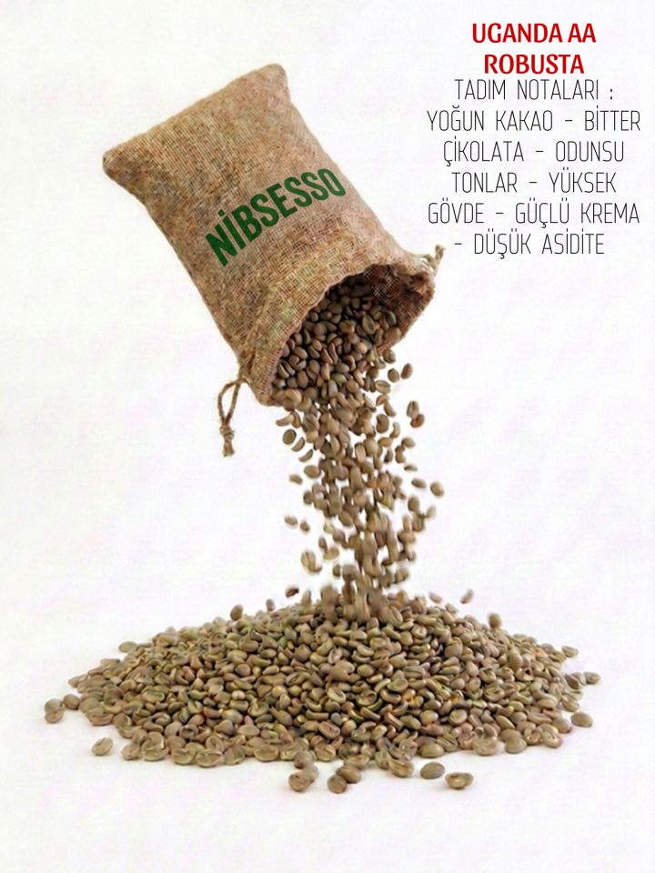 UGANDA AA ROBUSTA